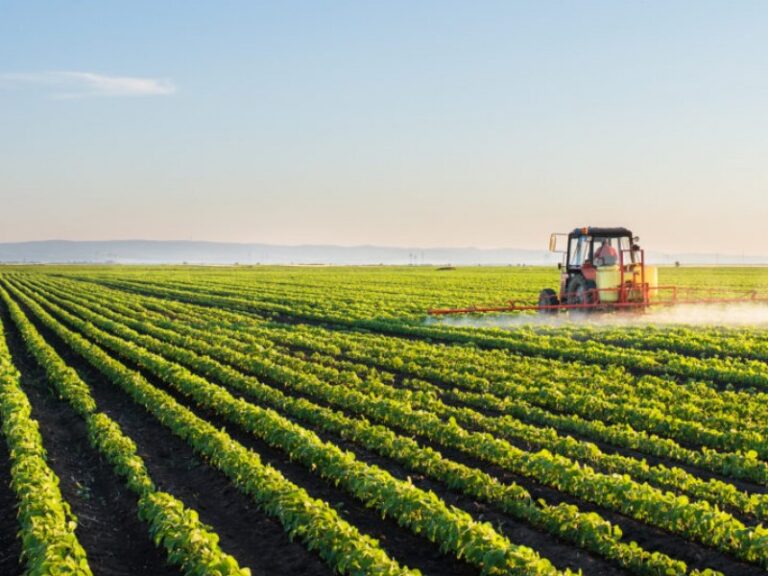 Republica Moldova va primi un credit de 18 milioane dolari pentru sectorul agricol din partea Japoniei