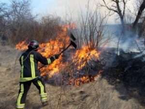 În ultimele 24 de ore pompierii au intervenit la stingerea a 54 incendii de vegetație