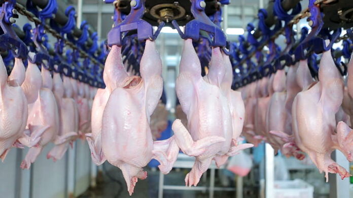 Ucraina va putea importa din nou carne de pasăre în Republica Moldova