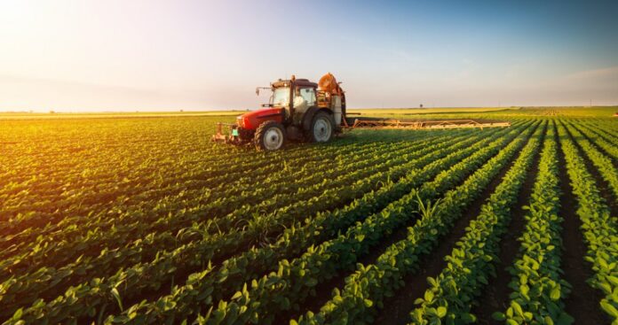 Raioanele Dondușeni și Edineț sunt lideri la depunerea cererilor pentru a primi subvenții în agricultură