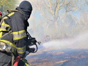 /VIDEO/ Pompierii au intervenit la stingerea a 66 incendii de vegetație