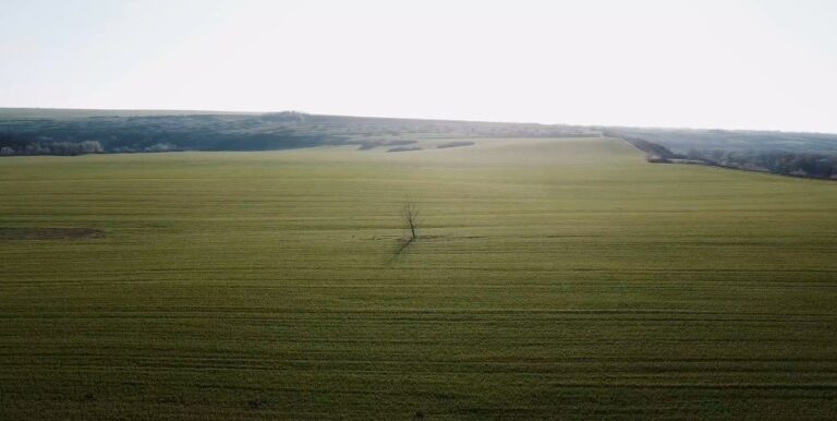 Imagini spectaculoase surprinse cu drona în nordul Republicii Moldova