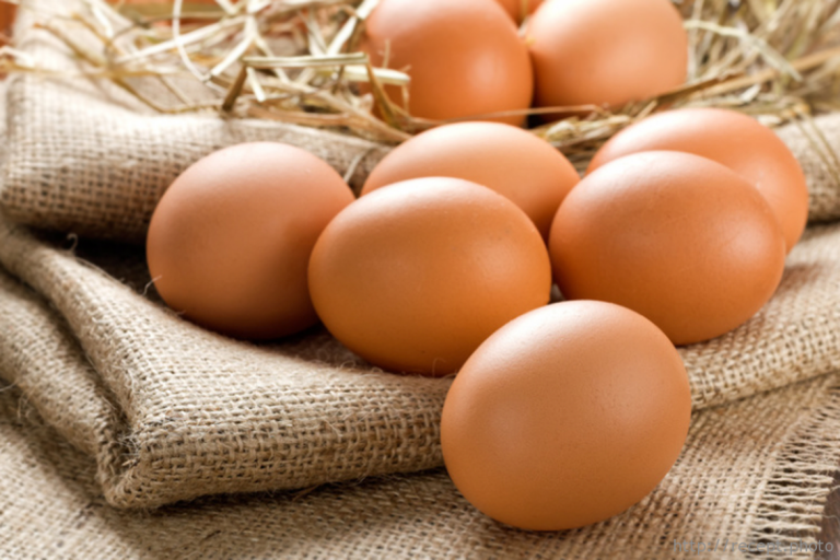 Câte ouă consumă în medie un moldovean pe an