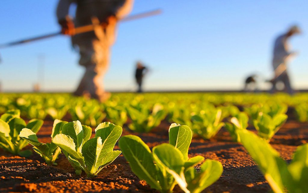 Subvenții în avans pentru proiectele din agricultură