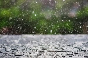 Statul va compensa parțial pagubele provocate de ploile abundente