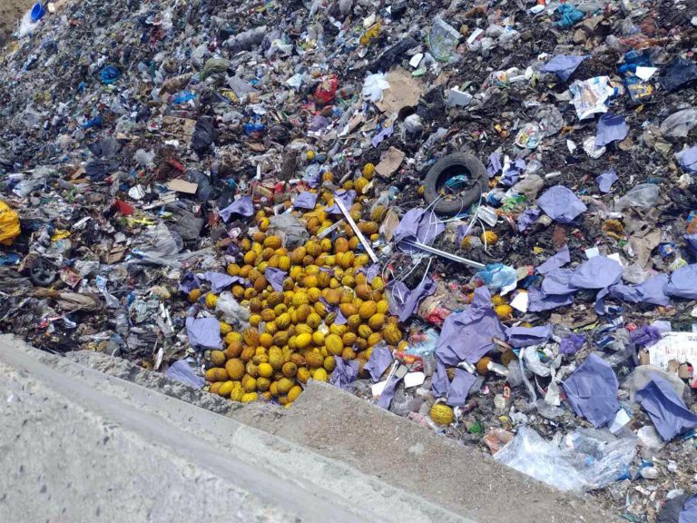 ANSA a lichidat un lot de peste 2700 kilograme de pepene galben