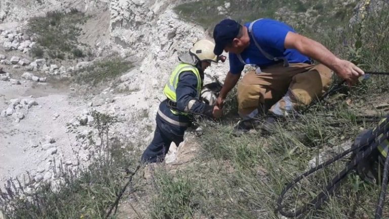 /VIDEO/ Două capre au fost salvate la Edineț după ce au nimerit într-o carieră de piatră