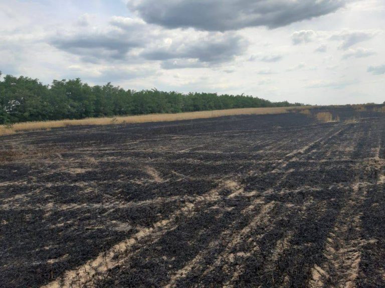 /FOTO/ Șapte hectare de grâu au fost mistuite de flăcări în raionul Dondușeni