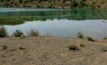 O fetiță din orașul Bălți s-a înecat în iazul satului Corlăteni