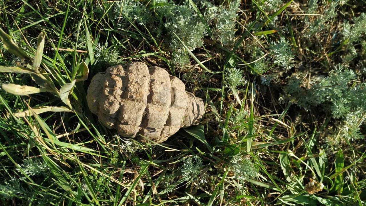 Un bărbat din raionul Glodeni a găsit o grenadă în timp ce lucra în grădină
