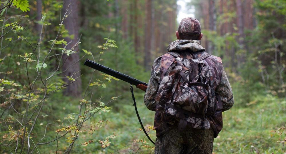 Guvernul a aprobat termenele de vânătoare pentru acest sezon. Vezi ce specii de păsări și animale ai voie să vânezi