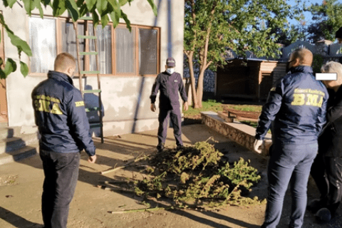 Percheziții în raionul Glodeni. În două gospodării au fost găsite substanțe narcotice