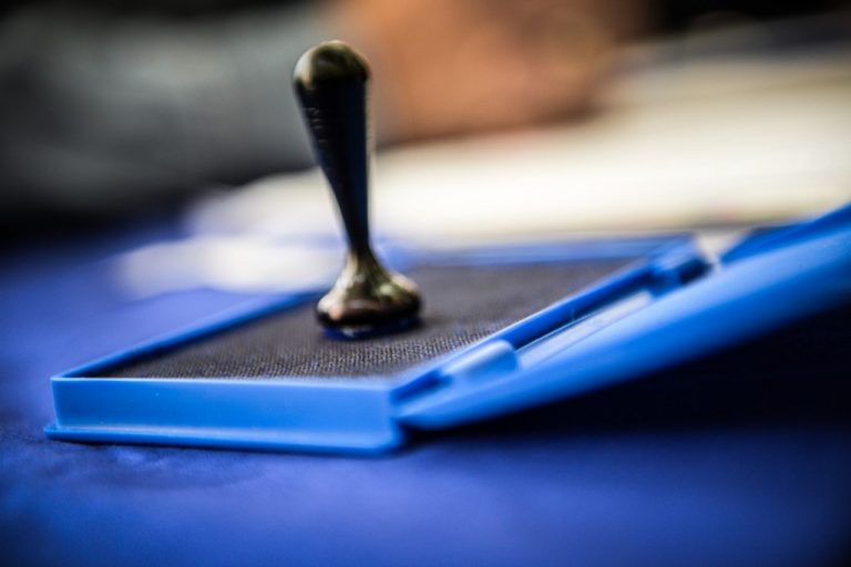 /FOTO/ Cum va arăta buletinul de vot pentru alegerile prezidențialele din turul doi