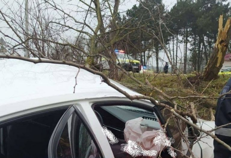 /FOTO/ Grav accident în raionul Fălești. Un bărbat a murit după ce s-a lovit cu mașina într-un copac de pe marginea drumului