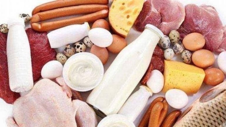 Republica Moldova și Corporația Financiară Internațională au negociat un proiect pentru promovarea produselor de origine animală în Uniunea Europeană