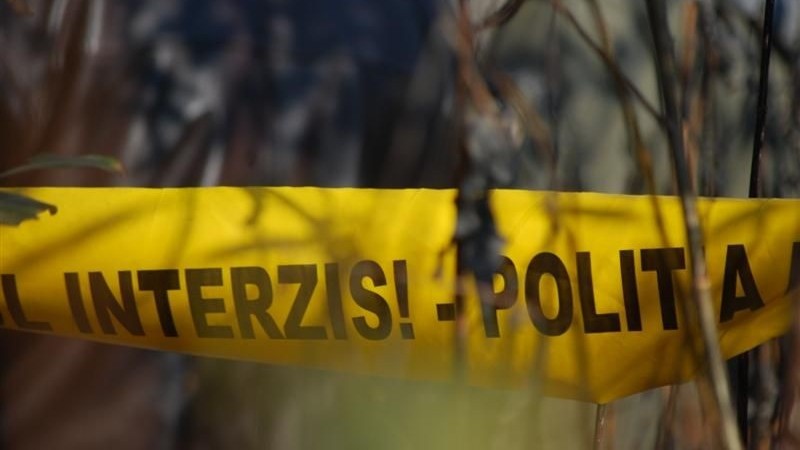 Un bărbat din raionul Fălești a murit, după ce un copac a căzut peste el