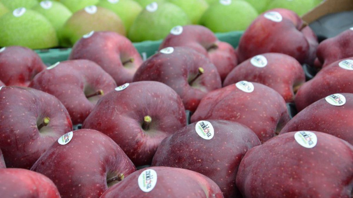 Un lot de peste 20 tone de mere din Moldova a fost interzis pentru import în Federația Rusă