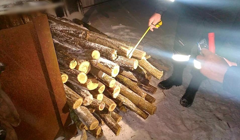 /FOTO/ Un bărbat din raionul Drochia a fost prin cu lemne furate la Dondușeni