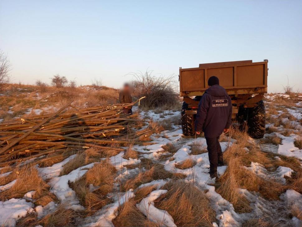 Un bărbat din raionul Edineț riscă amendă pentrucă a fost prins la tăiat lemne în zona de frontieră