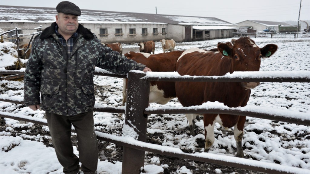 ANSA: Recomandări pentru crescătorii de animale în perioada de iarnă