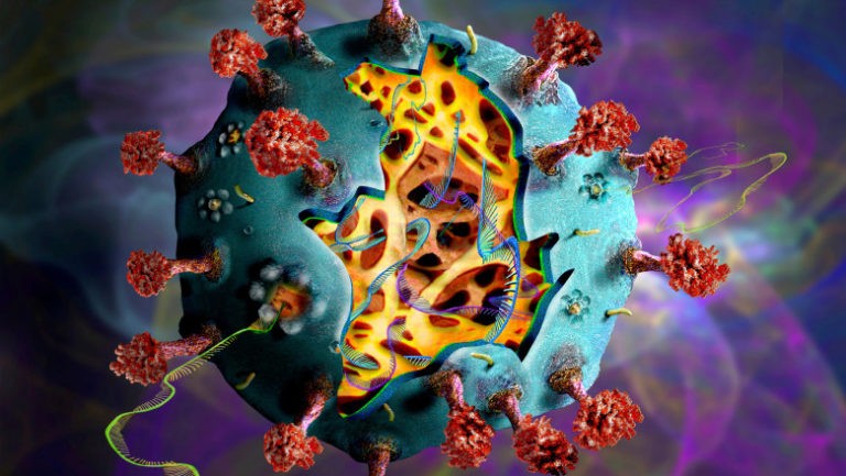 virus