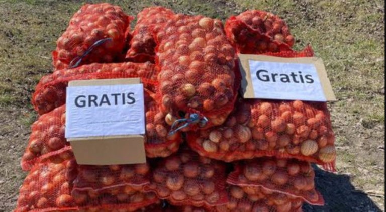 Un fermier din raionul Ocnița oferă ceapă gratuit pentru că nu are unde să o vândă
