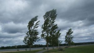 Atenție! Meteorologii au emis Cod Galben de vânt pe întreg teritoriul țării