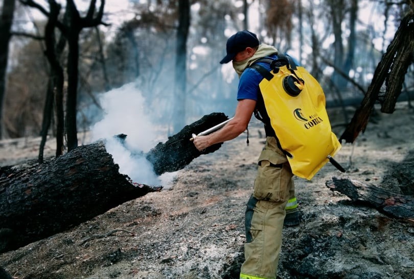 /VIDEO/ Peste 260 de focare au fost stinse de pompierii moldoveni în Grecia