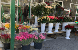 Comercianții de flori din Bălți și Chișinău vor fi verificați de Serviciul Fiscal în ajun de 1 septembrie