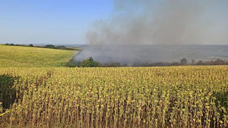 Incendiu de vegetație în raionul Drochia. Un lan de floarea soarelui a fost distrus de flăcări