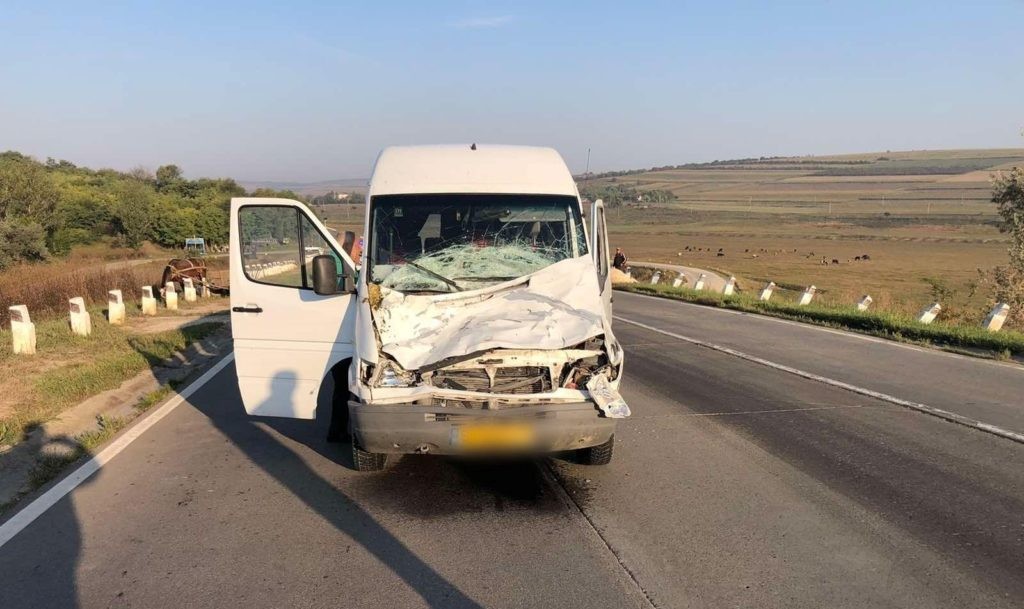 Accident în raionul Sîngerei. O bovină a fost lovită mortal