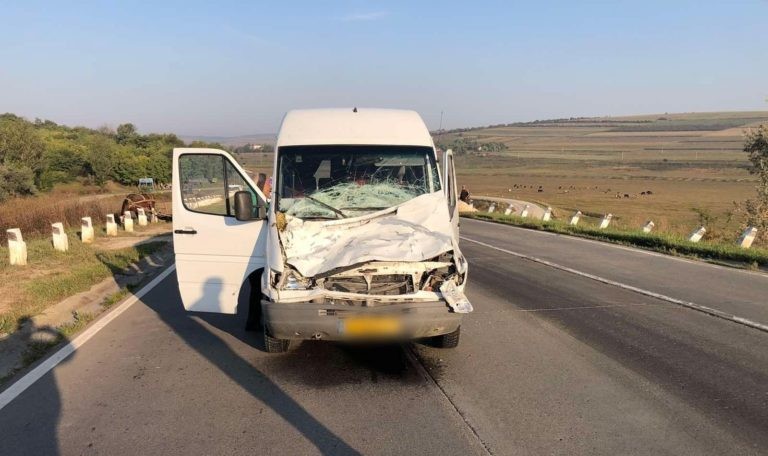 Accident în raionul Sîngerei. O bovină a fost lovită mortal