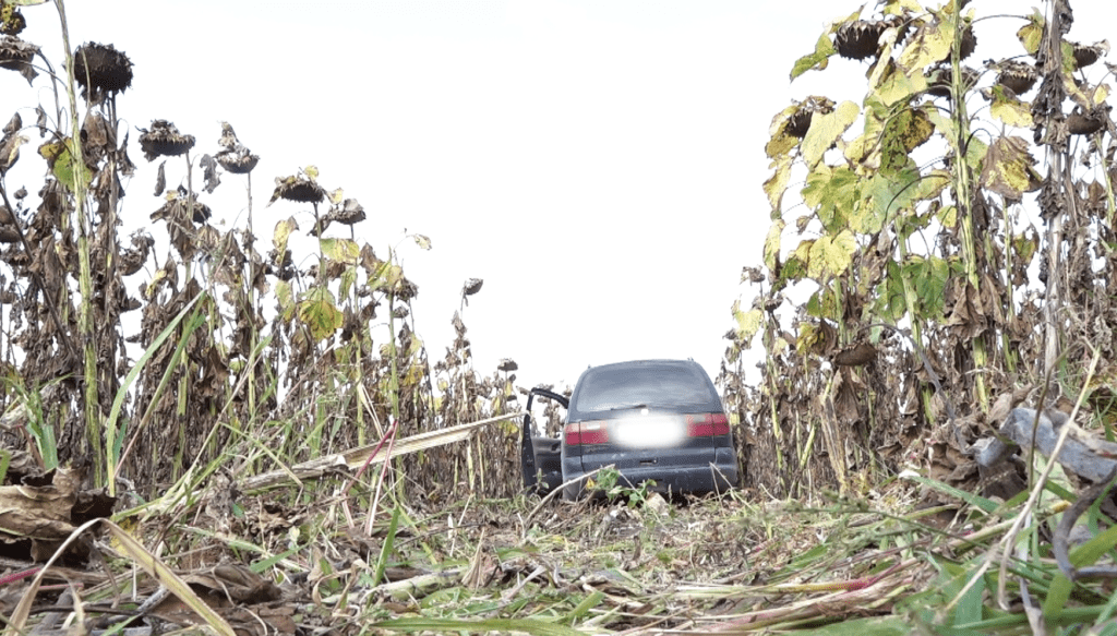 /VIDEO/ Un automobil cu mii de pachete de țigări de contrabandă depistat într-un lan din Glodeni