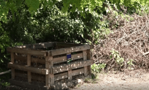 /VIDEO/ Locuitorii satului Dubna din raionul Soroca au învățat să facă compost