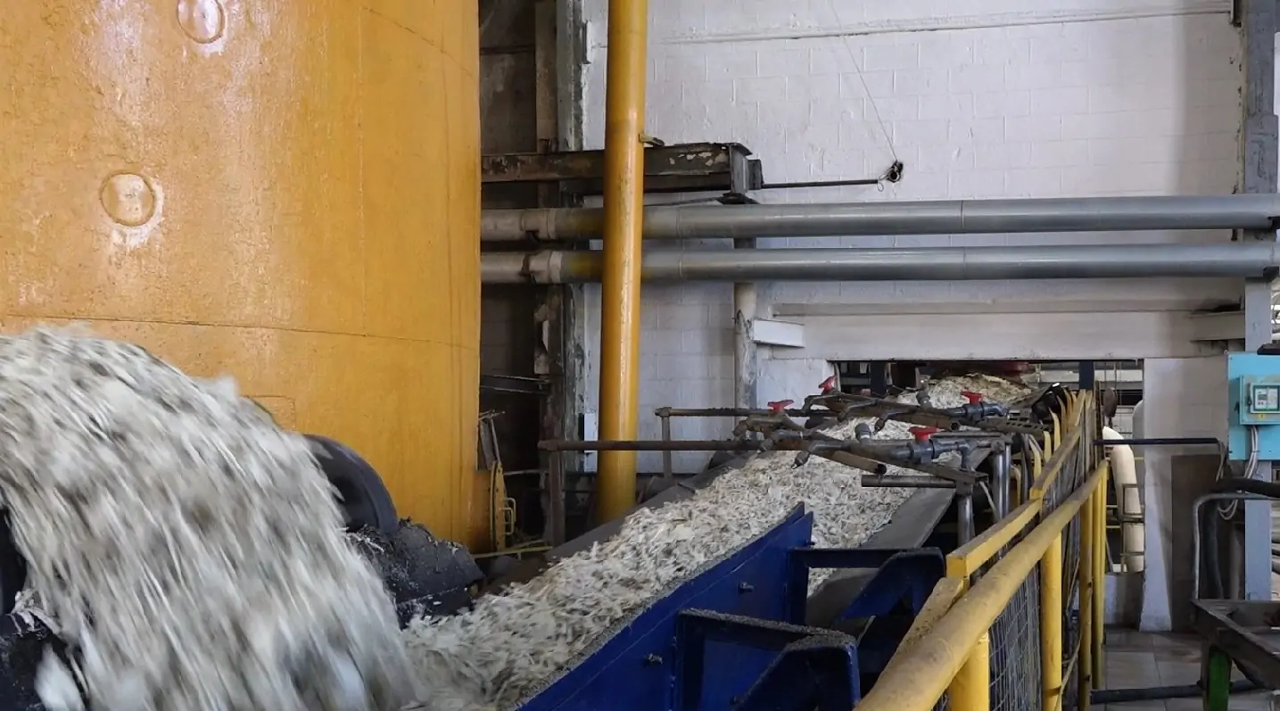 /VIDEO/ Fabrica de zahăr din Drochia și-ar putea sista activitatea. Cantitatea de păcură asigură lucrul doar până la sfârșitul lunii