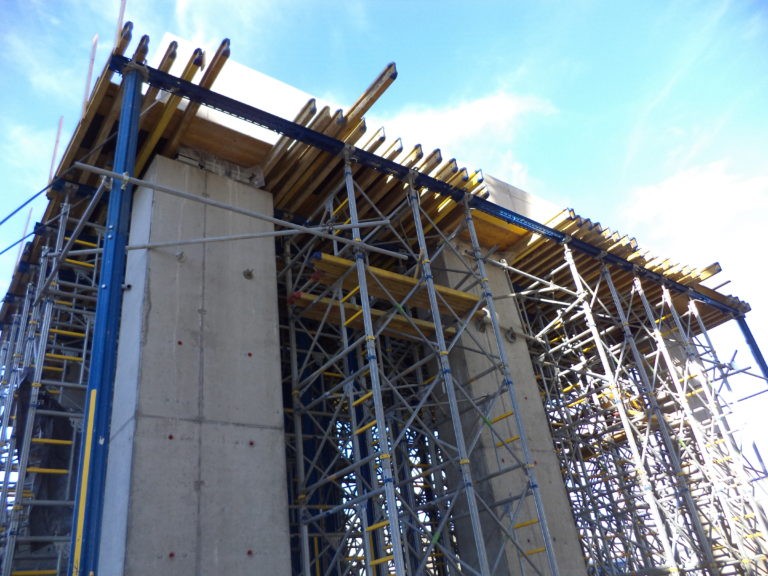 Edificarea construcțiilor capitale în zonele spațiilor verzi ar putea fi interzisă