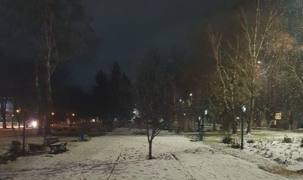 Ninsoare la Briceni