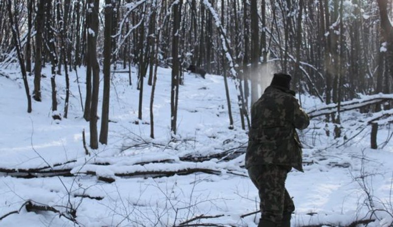 Un vânător din Cimișlia a ajuns la spital, după ce a fost atacat de un mistreț