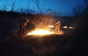 Incendiu de vegetație pe timp de iarnă în raionul Sîngerei. Flăcările au distrus două hectare de vegetație uscată