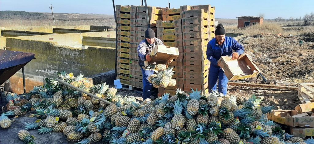 ananas