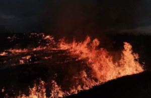 /FOTO/ Incendii în raioanele Briceni, Ocnița, Sîngerei și Soroca. Au ars peste 260 de hectare cu vegetație uscată