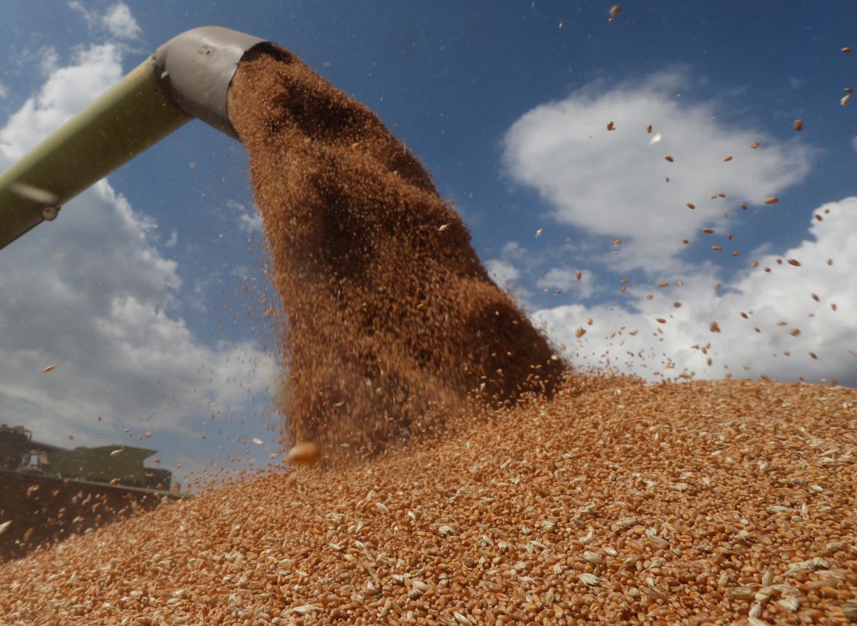 Запасов пшеницы на Земле осталось на 10 недель – эксперт при ООН