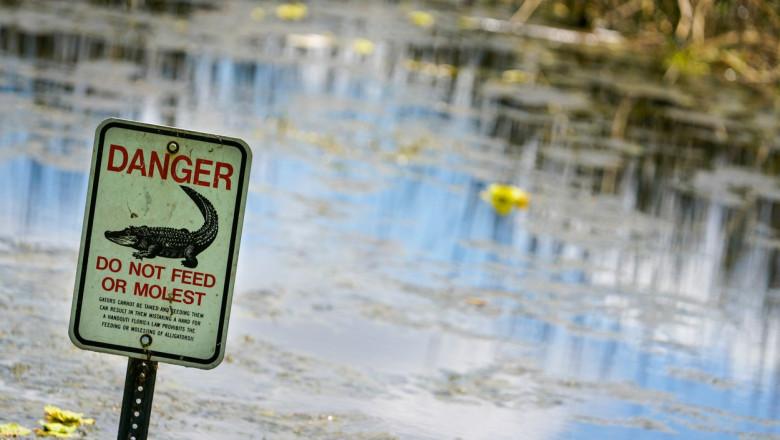Un bărbat a fost ucis de un aligator în timp ce căuta un frisbee într-un lac