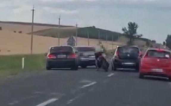 /VIDEO/ Reglări de conturi pe un traseu din raionul Basarabeasca. Un bărbat fost înfipt cu o rangă metalică