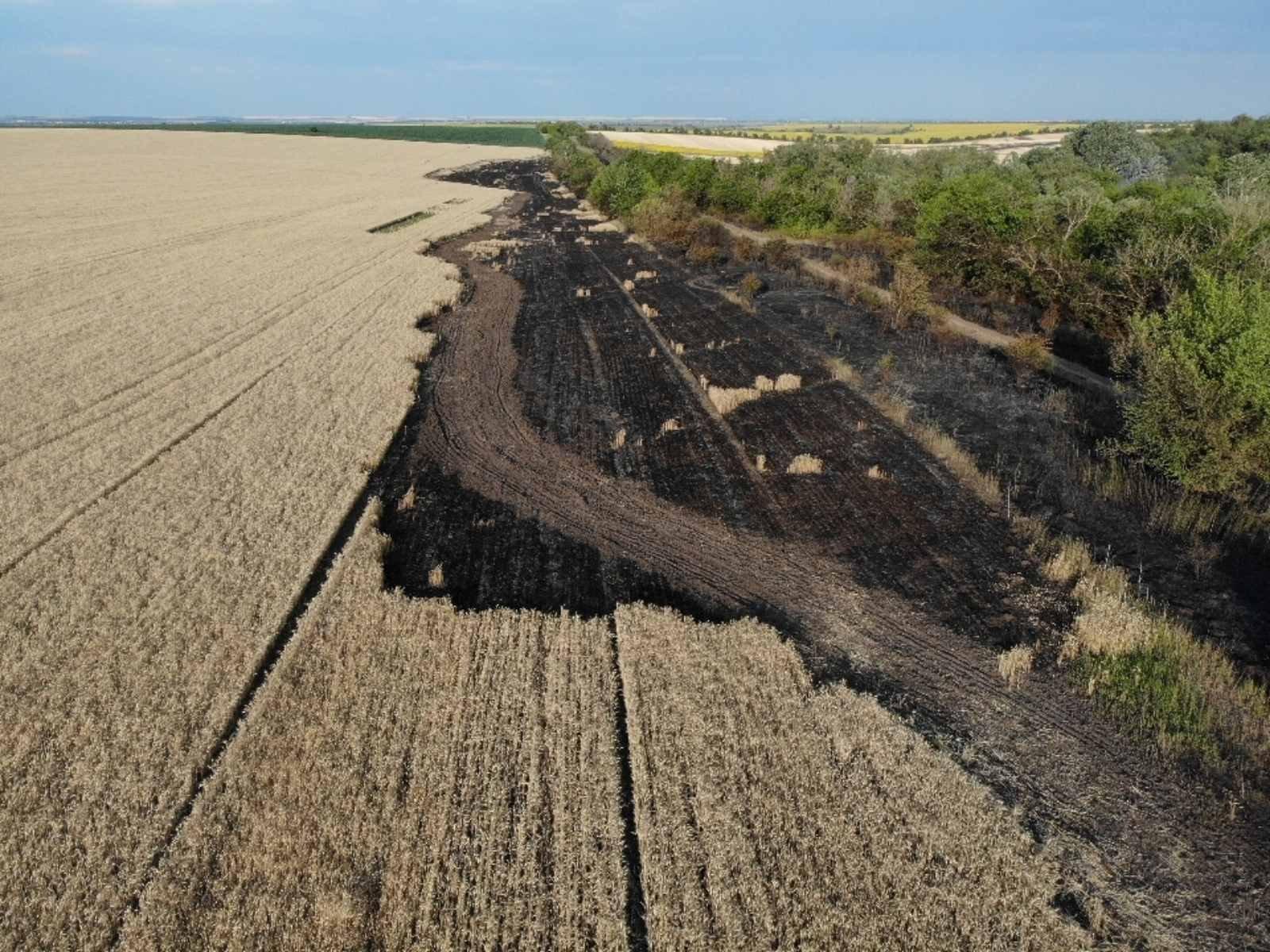 /FOTO/ Cinci hectare de grâu au ars în totalitate la Anenii Noi