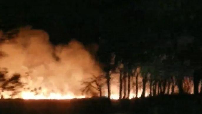 /VIDEO/ Un lan grâu a fost cuprins de flăcări în stânga Nistrului
