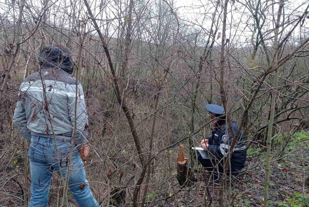 /FOTO/ Defrișări ilegale de arbori la Soroca. Trei persoane prinse în flagrant
