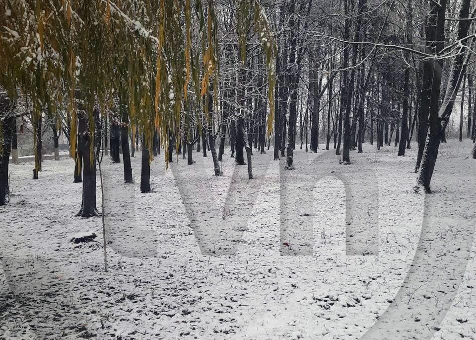 /FOTO/ Iarna intră în drepturi. În raionul Briceni a nins ca în povești