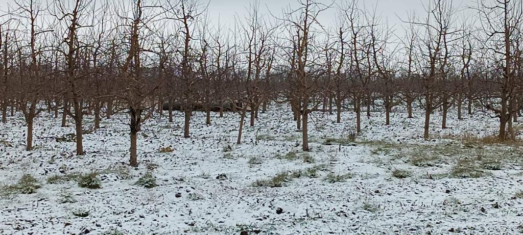 /FOTO/ Alertă la Briceni. O rachetă, descoperită într-o livadă din apropierea orașului