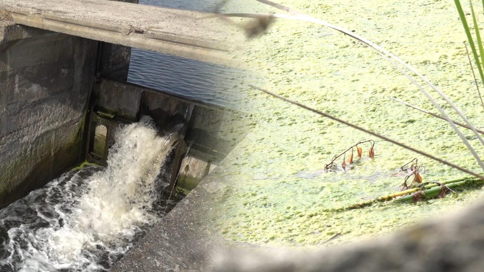 /VIDEO/ Supărări și acuzații la Florești. Deteriorarea unui baraj de pe ...